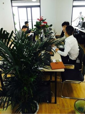 武漢金誠匯譽(yù)商務(wù)信息咨詢 專業(yè)賦能企業(yè)決策與成長